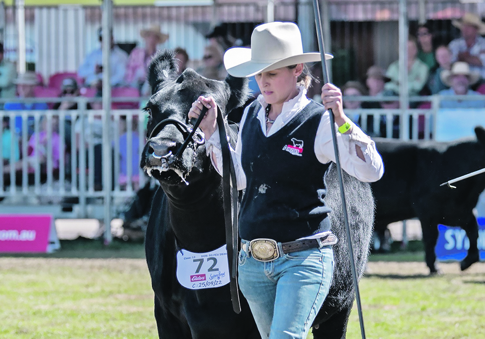 Rachael Wheeler of Australia said her Canadian cattle genetics have resulted in animals that can thrive in a range of environments.  |  Supplied photo