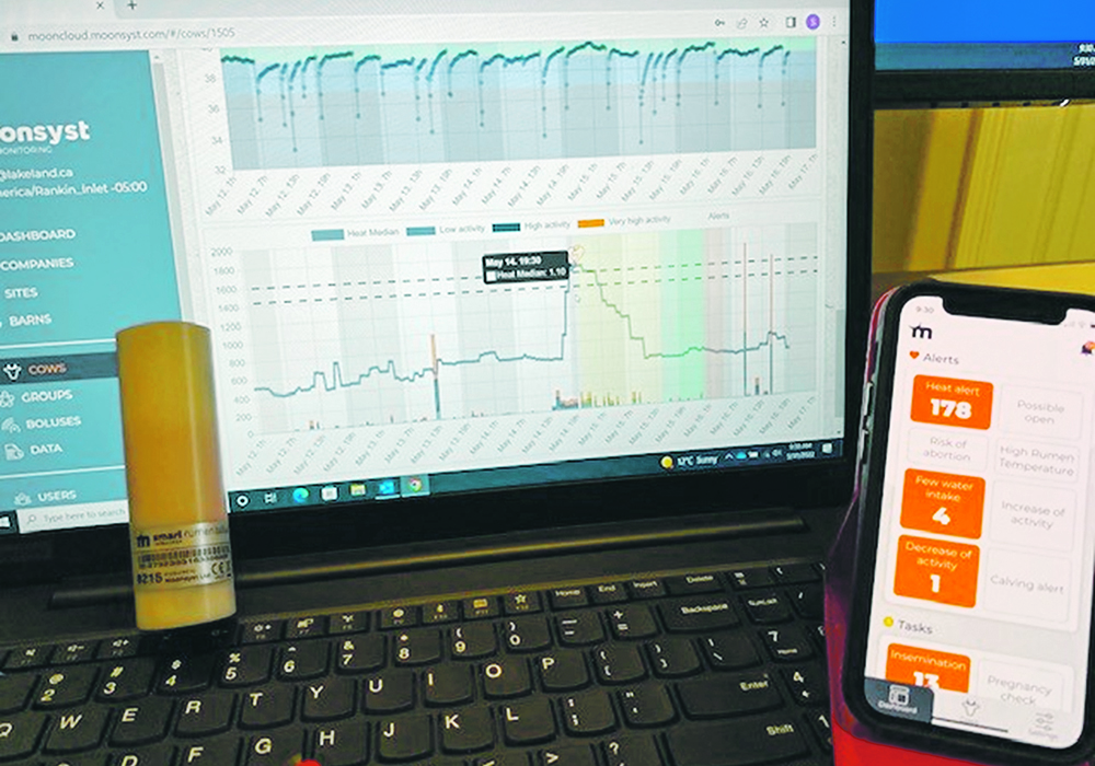 Bolus data on a computer screen shows the temperature change every time an animal drinks water, as seen in the top chart, and a spike in activity typical of an estrus alert.  |  Photo supplied by Susan Markus
