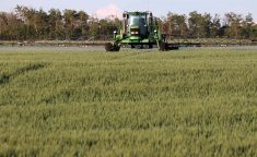 The claim that Canada's regulatory systems are based on science may now be outdated. The weight of evidence suggests that decisions around pesticides and new ag technologies have become political. | File photo