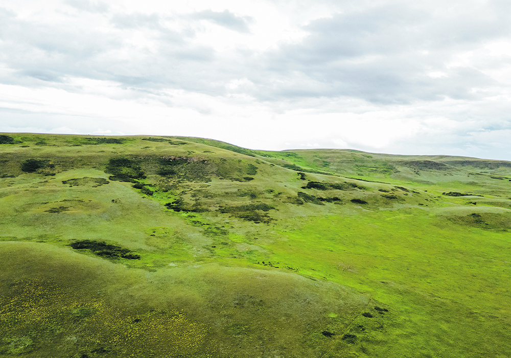 The Porcupine Hills features grasslands, creeks and forests supporting a variety of plants and animals.  |  NCC/ Brent Calver photo