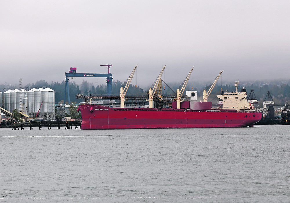 Increased demand from China is one possible explanation for why wheat exports are up from the same time last year.  |  File photo