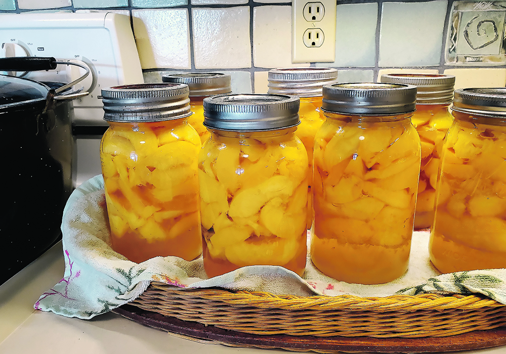 Canning is a common practice today, but you might be surprised at how it got its start.  |  Sheri Hathaway photo