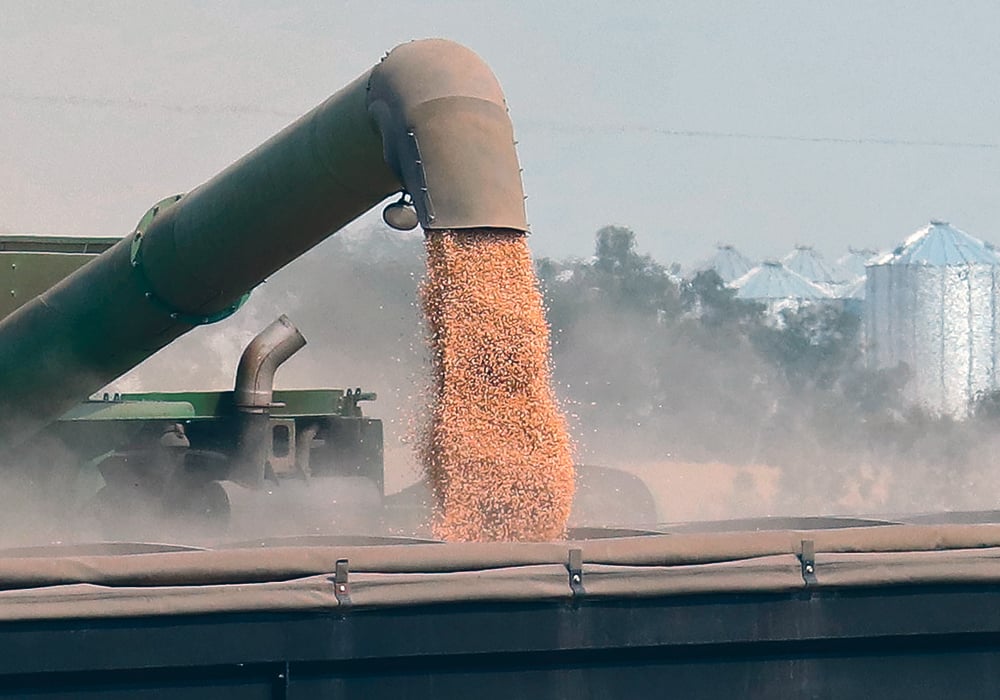 China imported 427,600 tonnes of Russian peas during the first four months of the 2023-24 crop year (July to October). Russia is swiftly moving into a market that used to be completely dominated by Canada. | File photo