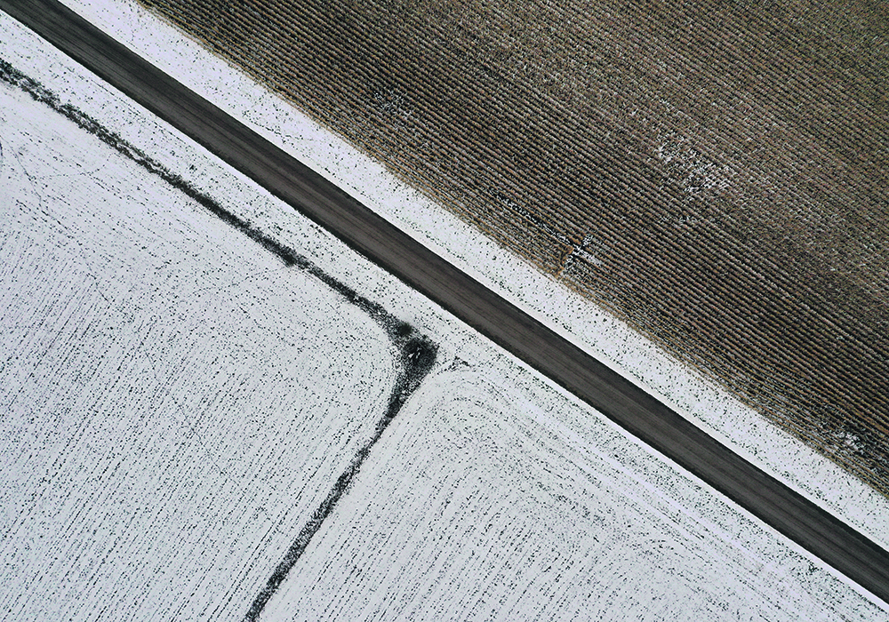 The number of farms owned by investment firms increased 231 percent between 2008 and the second quarter of 2023, and the value of those holdings rose more than 800 percent to US$16.2 billion.  |  Reuters/Bing Guan photo