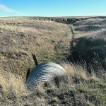 A drainage channel that hasn’t seen water in months sits empty south of Medicine Hat as the region continues to experience drought conditions. | Alex McCuaig photo