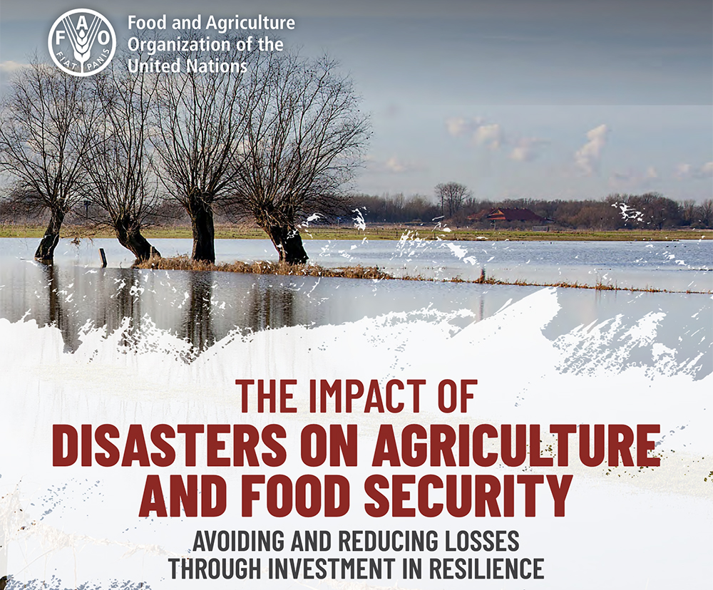 [Two recent] reports all but beg for immediate international action to reduce climate risk while developing “more scalable farm-level” solutions to address the looming food crisis. | Screencap via fao.org
