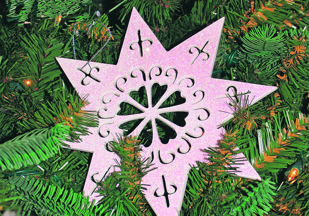 Some stars shine much brighter than others.  |  Photo supplied by Alma Barkman