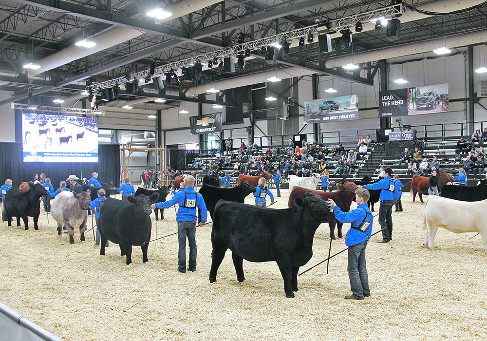 Junior exhibitors line up to see which one will be named extreme female champion.  |  Melissa Jeffers-Bezan photo