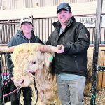 Fran Wilkinson and Clarke Childs pose with one of their Highland cattle at Brandon’s Ag Ex in late October. | Alexis Stockford photo