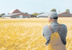 Many family farms do not recognize that their management system is not keeping pace with the growth of their family and business structure. | Getty Images