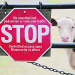 The bill was formed based on biosecurity concerns created by illegal barn entry. | Getty Images