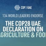 The signatories committed to scaling up adaptation and resilience activities, increasing efforts to support food-vulnerable people, supporting workers, integrating water management practices into agri-food systems and restoring land, natural ecosystems and soil health. | Screencap via twitter.com/@COP28_UAE