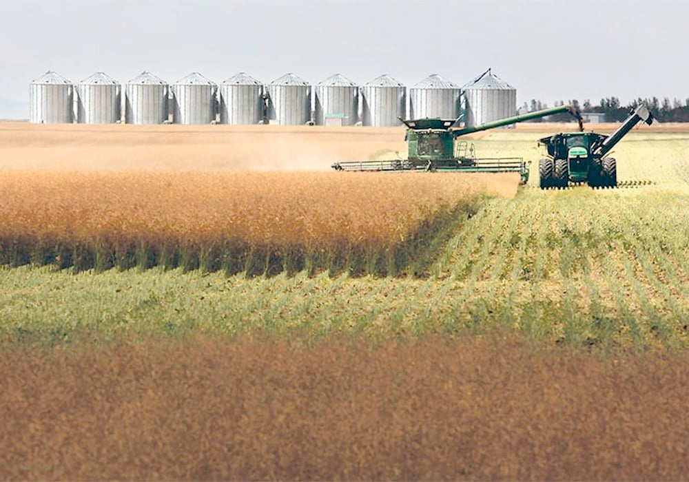 StatCan raised its estimate for the country’s 2023 canola production to 18.33 million tonnes, from 17.37 million in September. That was still down by two percent compared to the previous year. | File photo
