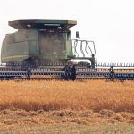 "This is the first time in roughly six years that India has truly opened up to pea imports," Greg Cherewyk, president of Pulse Canada, said in an email. "As a long time supplier to the market, it's great to see India open for business again." | File photo