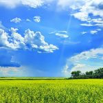 Photo taken west of Fillmore, Sask. by Sarah Leguee @SarahLeguee