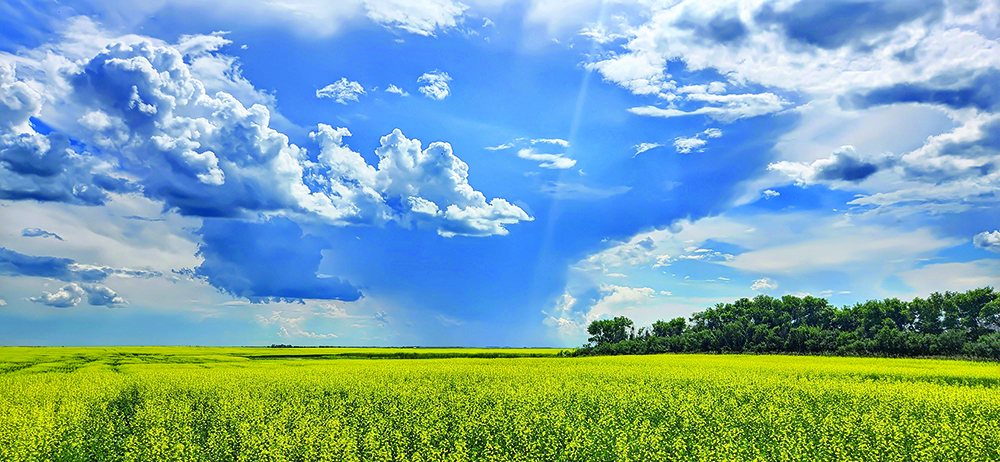 Photo taken west of Fillmore, Sask. by Sarah Leguee @SarahLeguee