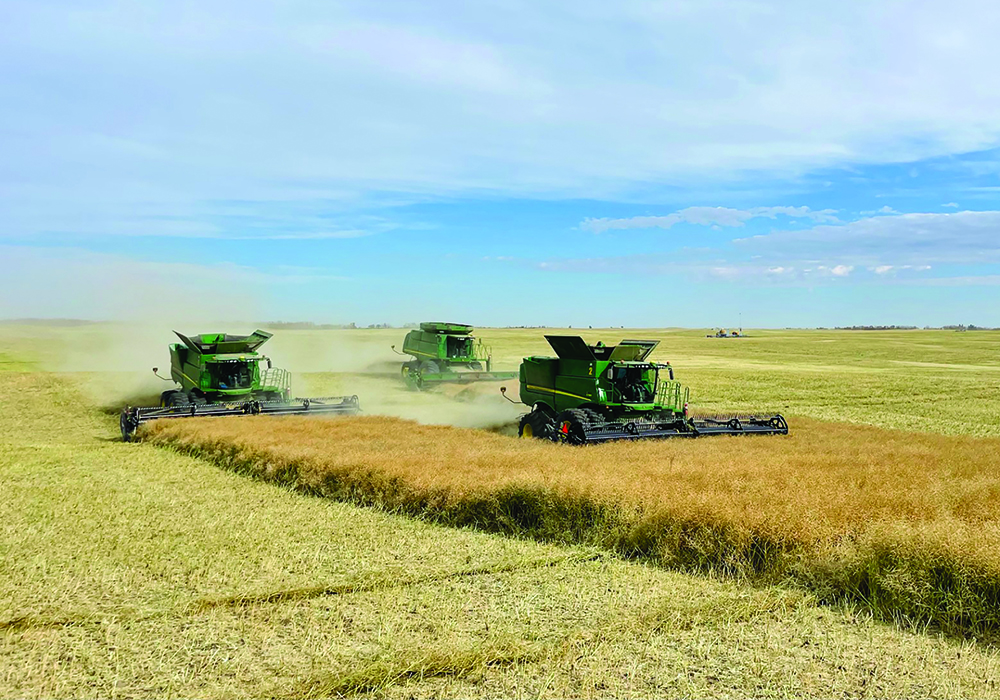 Farm groups representing export commodities including canola say bill C-282 is bad policy. The bill would amend the Department of Foreign Affairs, Trade and Development Act to protect supply-managed industries and keep them out of future trade negotiations. Photo taken near Ponoka, Alta. by Benjamin Krijger @BenjaminKrijge