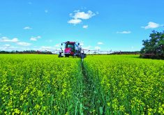 Hot weather increases evaporation and heat-stressed plants absorb herbicides slowly, but inversions are common when the sun is down.  Photo taken near Russell Man. by Mark Laycock. @LaycockMark
