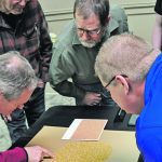 Baillie Shewkenek, left, examines a wheat sample against the Canadian Grain Commission’s official grading photos with Joey Vanneste, right, looking on. | Alex McCuaig photo