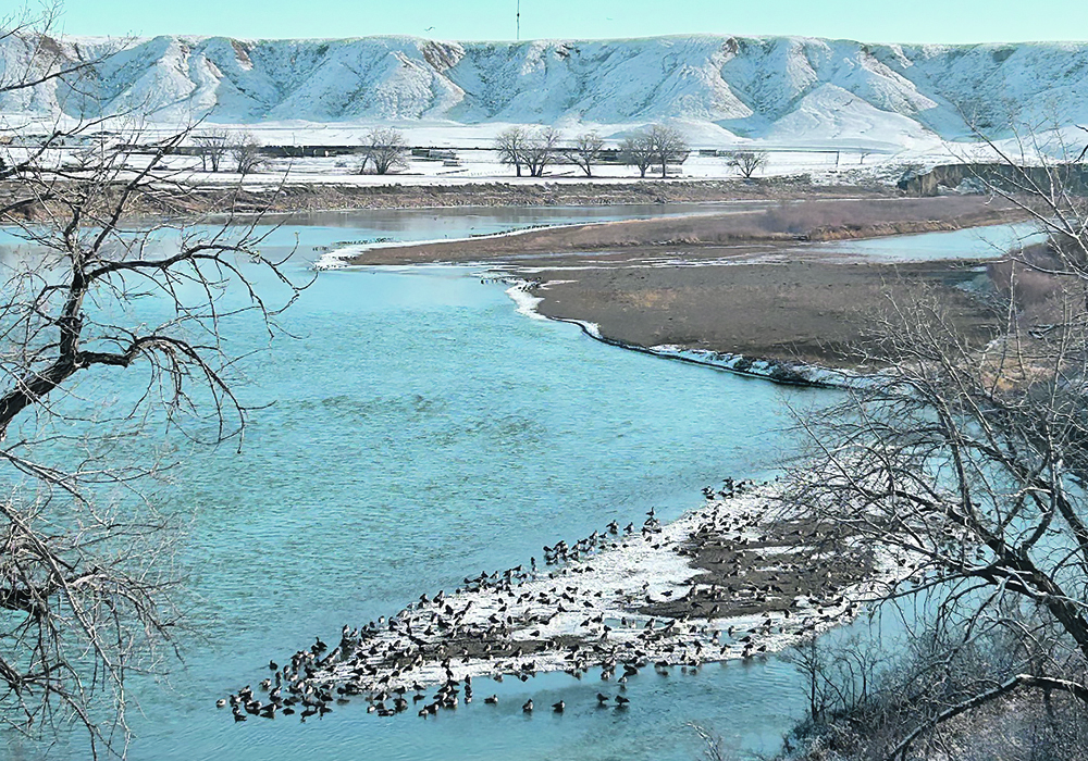 Unusually large sandbars have formed in the South Saskatchewan River as the low stream flows that began in early summer continue to plague waterbodies across Alberta.  The province currently lists 51 water advisories.  |  Alex McCuaig photo