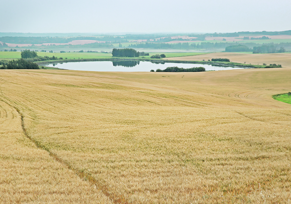 Data collected in Ag Canada project will be used in decision-making tools to predict how changes to landscape features may affect greenhouse gas emissions.  |  File photo