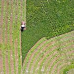 Agrologist Ken Wall said forage crops in the rotation improve yields, help break pest cycles and make money in their own right. | Mike Sturk photo