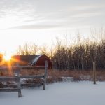 Prairie barn in winter with sunset