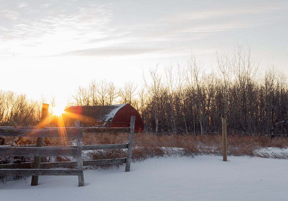 Prairie barn in winter with sunset