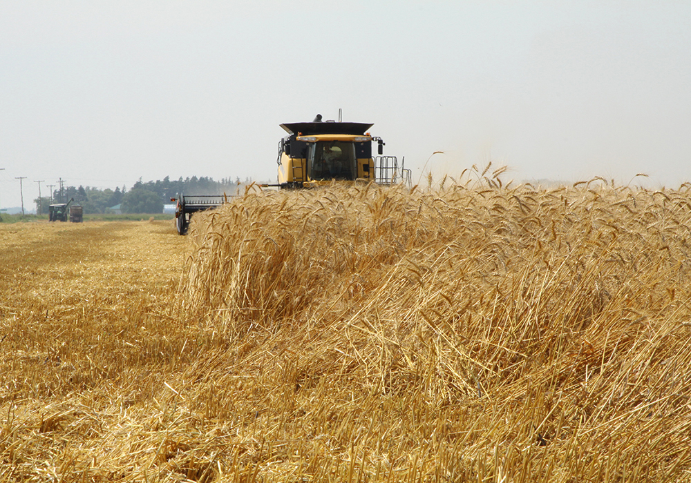 The sale, announced Dec. 5, provide a welcome shot in the arm for lagging U.S. wheat exports, which the USDA has projected will fall to a 52-year low in the 2023-24 marketing year that began June 1. | File photo