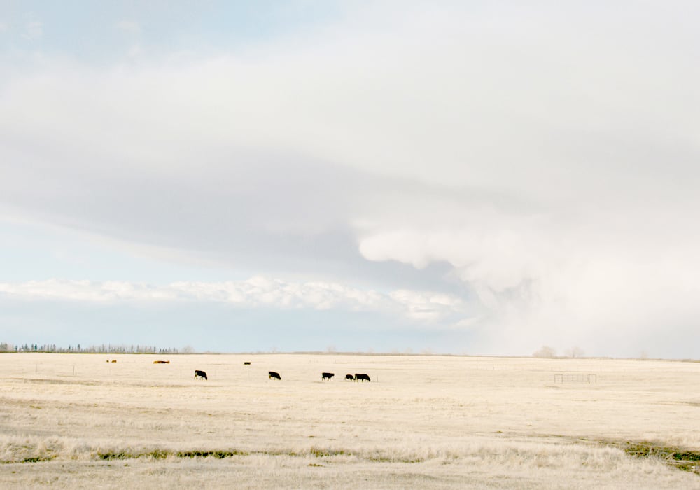 These models are complex and usually do a pretty good job. Our job as hobby forecasters is to make little tweaks to the forecast that make us look like brilliant weather nerds to all our friends. | File photo
