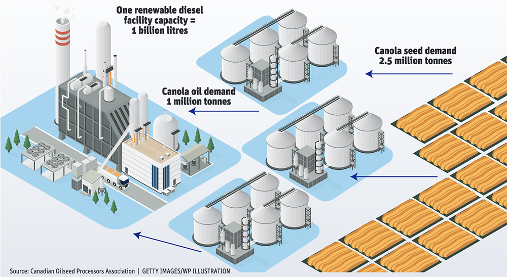 Putting demand into perspective - One large renewable diesel facility can consume one million tonnes of canola oil annually, which would come from processing 2.5 million tonnes of seed. That is assuming that canola would be the only feedstock used by the plant and that the facility was running at 100 percent of capacity. That is more canola than Canada exports to Japan each year.