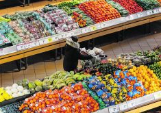 In 2022, 6.9 million Canadians lived in households with experiences that range from worrying about running out of food before there’s enough money to buy more, to not eating at all for entire days because of a lack of income, according to StatsCan’s Canadian Income Survey.  |  Reuters photo