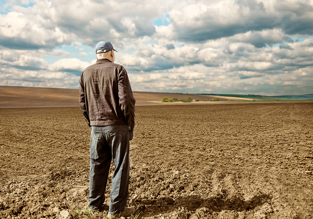 Is there enough motivation to keep legacy intact or is it just easier to rent out to the neighbours? | Getty Images