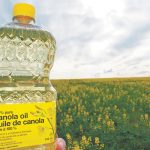 Shipments of canola oil to the U.S. have more than doubled to $3.9 billion from $1.7 billion between 2018 and 2022. | File photo