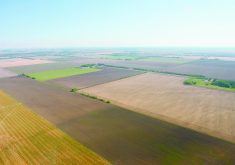 Given land prices, it might make sense to have your “active” corporate land in a separate company that can be rolled tax deferred to the next generation. | File photo