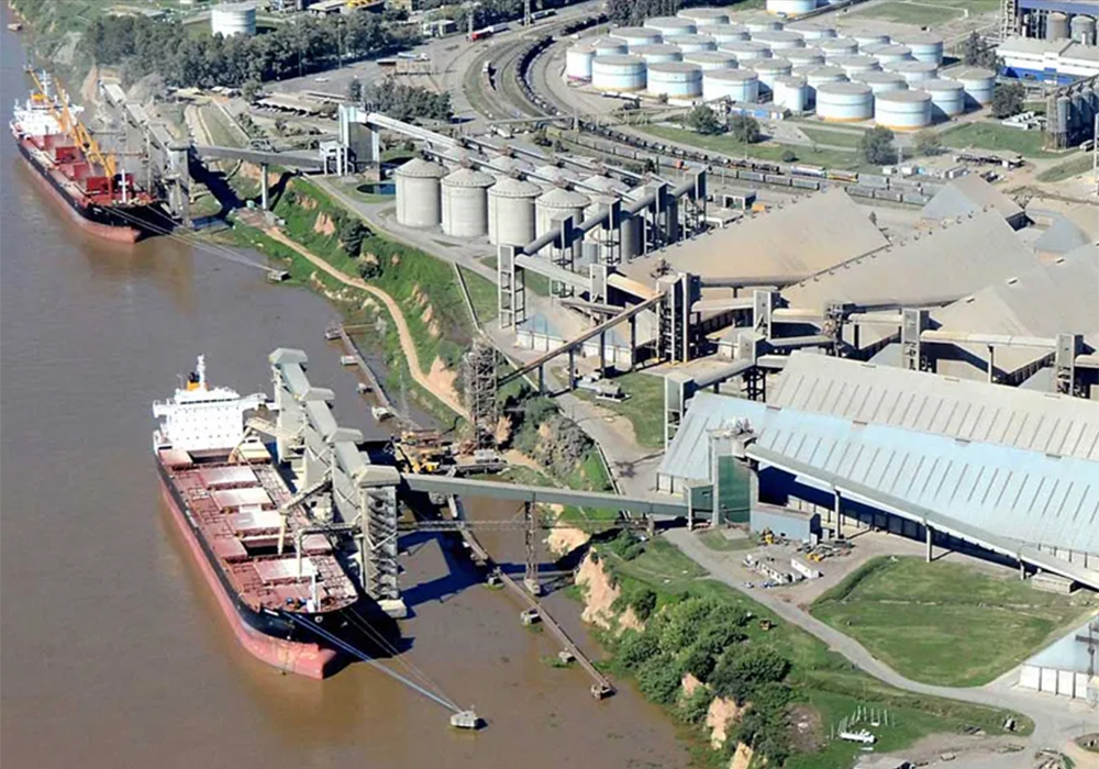 Newly elected Argentine President, Javier Milei, had campaigned on a platform that included slashing export taxes. "He's doing exactly the opposite of what he promised 10 minutes ago," said Michael Cordonnier, publisher of the Soybean and Corn Advisor weekly newsletter. | Screencap via www.nabsa.com.ar