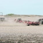 It would be better to recognize and reward producers for having the best environmental competitive advantage in whatever crops and livestock they produce rather than the values-signalling that is currently in fashion among many environmentalists. | File photo