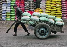 Due to predictions of a smaller chickpea crop, the Indian government dropped the import restrictions on peas through March 31, 2024. | Reuters photo