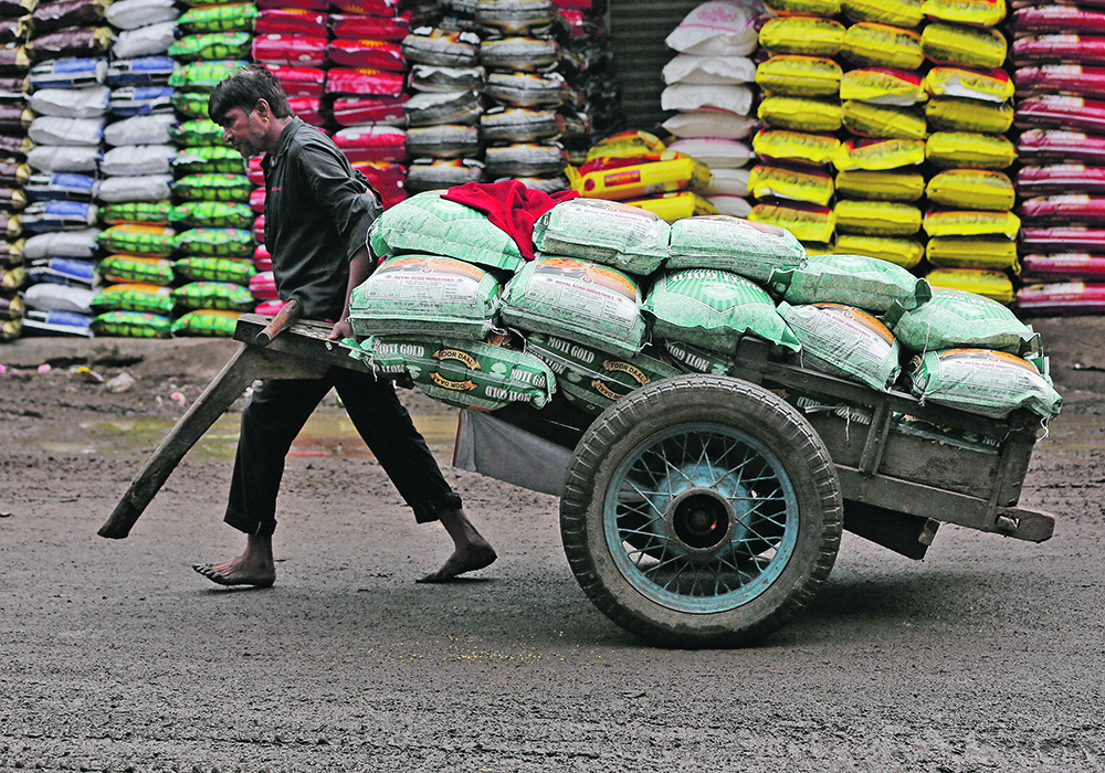 Due to predictions of a smaller chickpea crop, the Indian government dropped the import restrictions on peas through March 31, 2024. | Reuters photo