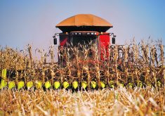 Corn is harvested near Brasilia, Brazil, last August. Drought is now causing farmers to delay their fertilizer purchases, which has affected the global fertilizer system.  |  Reuters/Adriano Machado photo