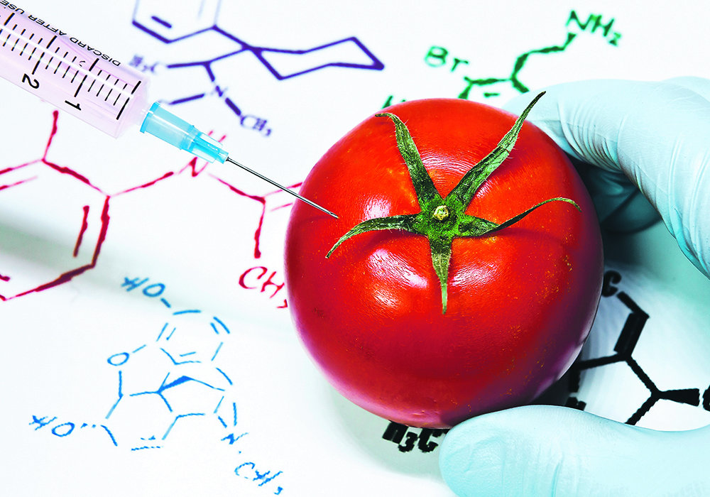 A new study indicates that the role of background mutations demands greater reassessment when developing new varieties. | Getty Images