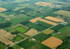 A range of issues plague the current system, including corporate consolidation, farmland concentration in the hands of non-farmers and foreign buyers, pollution and animal welfare issues, as well as soil erosion and the poor treatment of migrant workers. | File photo