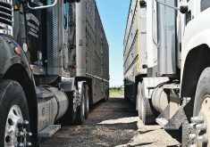 Hours of service rules allow drivers to keep driving in emergencies, even if they’ve hit their time limit. However, a recent report notes, there are no specific provisions for emergencies regarding the health and well-being of animals. | File photo