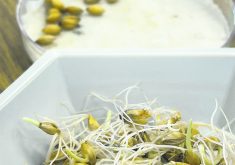 Grain needs to hit a number of technical specifications to be good quality malting barley, including germination rates. Assessing that is taken very seriously.  |  Ed White photo