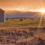 Looking at the mean monthly temperatures for December, they were remarkably warm right across the Prairies. | Getty Images