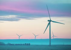The second portion of Alberta’s inquiry into development of renewable energy projects will start in early February with a focus on how renewable power generation affects the electricity system’s reliability and affordability.  |  Mike Sturk photo