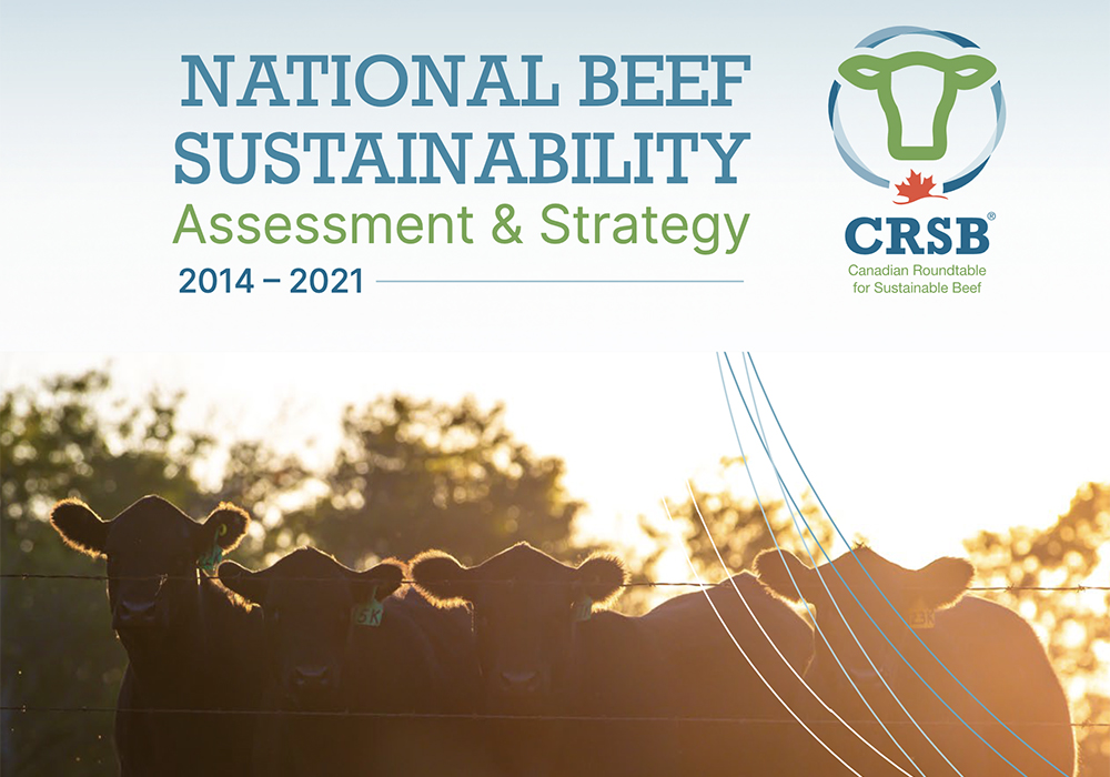 Highlights of the National Beef Sustainability report include a 15 percent reduction in greenhouse gas emissions in the beef industry in the past decade and nearly two billion tonnes of soil organic carbon stored on rangelands. | Screencap via crsb.ca