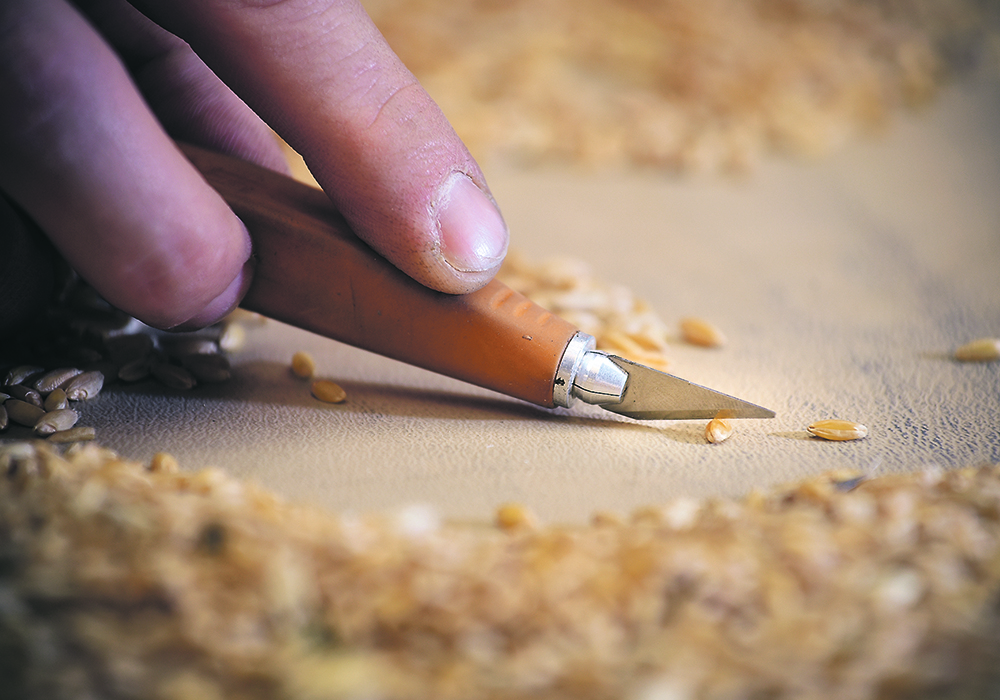 Farmers attending a recent SaskWheat meeting ask the organization to find out why hard vitreous kernels remain a grading factor for spring wheat.  |  File photo