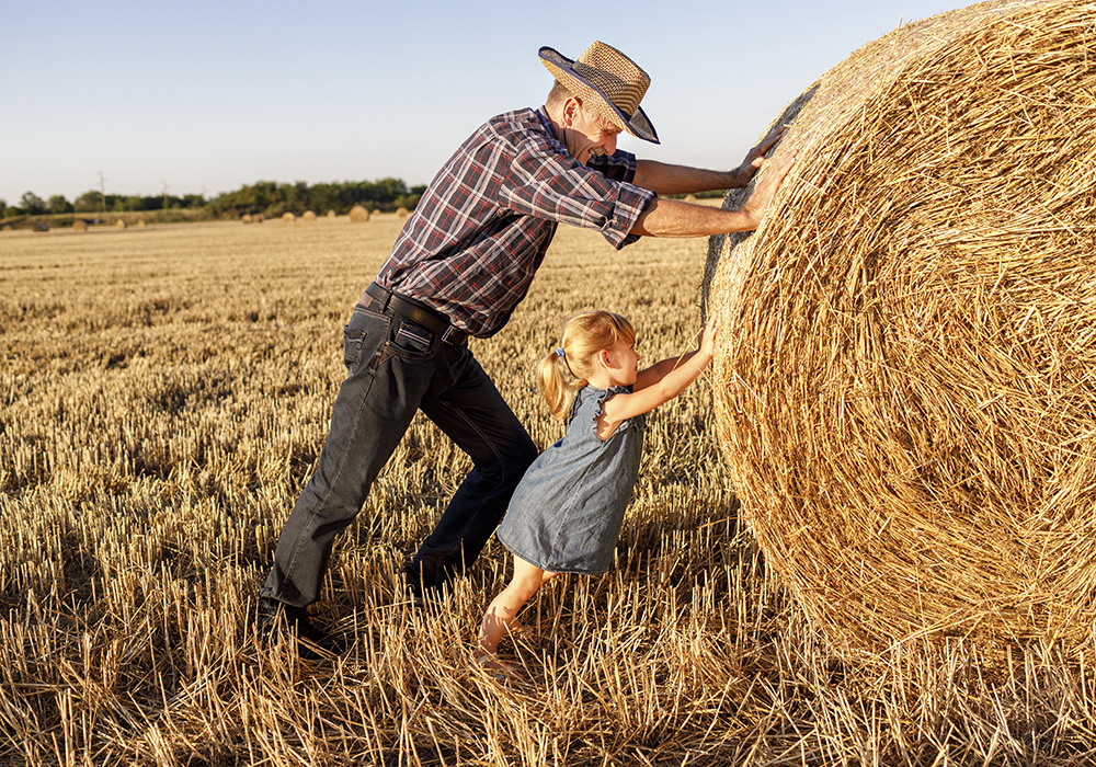 The transition of the family farm to the next generation raises several considerations, and one of the most important is how to transfer the farm in the most tax efficient way for the parents who are transitioning out and the children who are taking over. | Getty Images