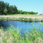 The Water Security Agency recently completed consultation on a draft policy that would use a per-network approach to retaining a certain percentage of wetlands. | File photo